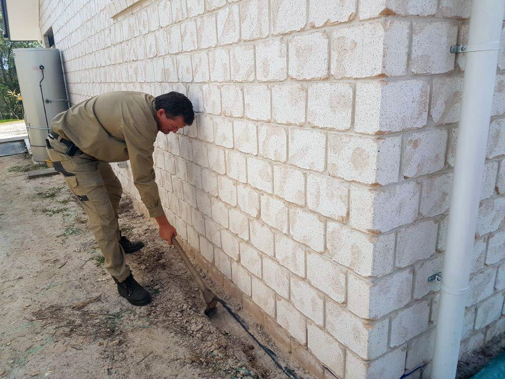 Termite can still infest a brick home.